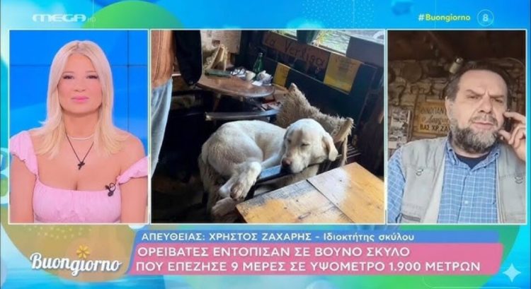 Χαλίκι Ασπροποτάμου: Η διάσωση του “Ασπρούλη” και ο επισκέπτης από την σαμπάνια Moët & Chandon (BINTEO)
