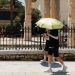 Καιρός: Τυφώνες, πυρκαγιές και καύσωνες φέτος το καλοκαίρι – Δυσάρεστε νέα και για την Ελλάδα