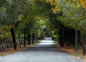 Χαλάρωση με θέα το Μαίναλο: Η γαλήνη της Βυτίνας σε πρώτο πλάνο
