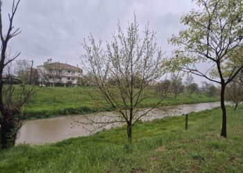 Αντέχει ακόμη ο Ληθαίος παρά την ολονύκτια βροχή στα Τρίκαλα