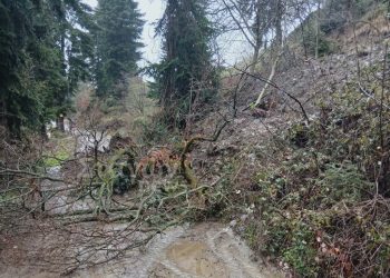 Χρυσομηλιά: Εγκλωβισμένες 5 κτηνοτροφικές μονάδες στην τοποθεσία ΛΑΖΙΝΙ – Ζητούν άμεση αποκατάσταση του αγροτικού δρόμου (ΦΩΤΟ)