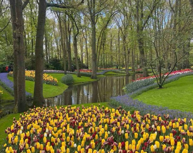 Βόλτα στο Keukenhof, το πιο διάσημο πάρκο με τουλίπες στον κόσμο
