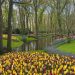 Βόλτα στο Keukenhof, το πιο διάσημο πάρκο με τουλίπες στον κόσμο