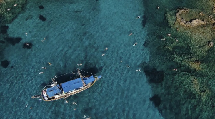 Αγγελόψαρο: Το νέο ξενικό είδος που ταξίδεψε στις ελληνικές θάλασσες από τον Ινδικό Ωκεανό