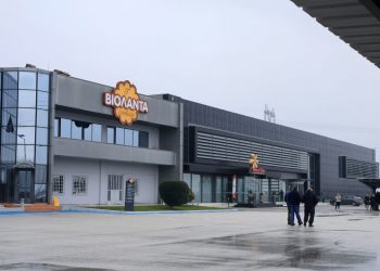 Βιολάντα: Διαψεύδει δημοσιεύματα περί εξαγοράς από τον Καραμολέγκο