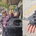 Συνελήφθη ο 89χρονος σε ξενοδοχείο στην Πάτρα – Είχε 38άρι περίστροφο γεμάτο