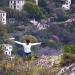Με θρυλικό ζεϊμπέκικο από 14χρονο Θεσσαλό γιορτάστηκε η Παγκόσμια Ημέρα Χορού – To viral βίντεο