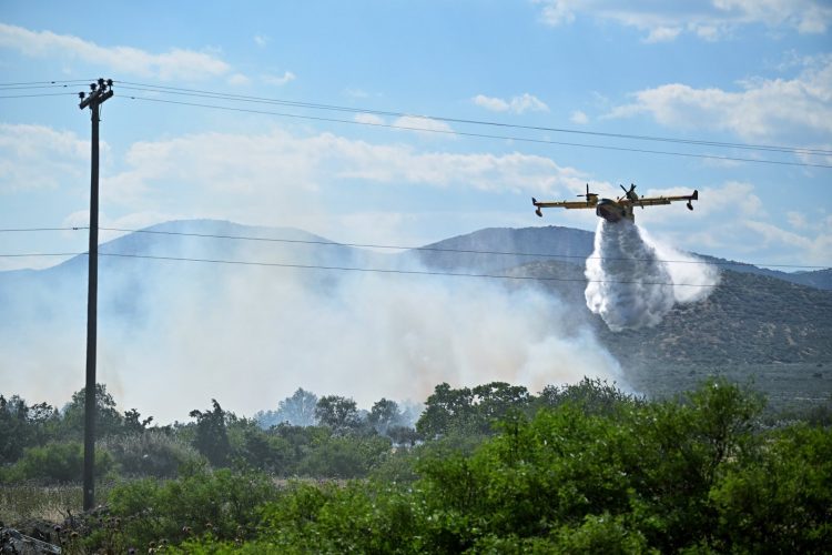 Δείτε φωτογραφίες: Μεγάλη πυρκαγιά στην περιοχή των Γόννων – Επιχειρούν ισχυρές δυνάμεις της Πυροσβεστικής και καναντέρ