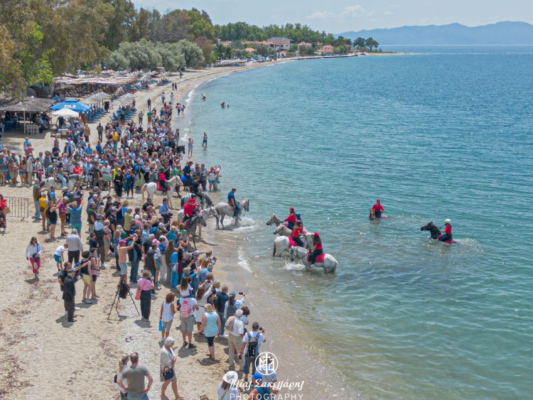 Αναβίωσε στα Καλά Νερά το έθιμο του αγιασμού των υδάτων με τα άλογα – Δείτε εικόνες
