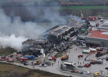 Βιολάντα: Ελεύθερος υπό όρους μετά την απολογία του ο Γενικός Διευθυντής της Εταιρείας (ΒΙΝΤΕΟ)