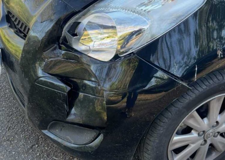 Τροχαίο με αγριογούρουνο για γυναίκα οδηγό στην Κρήνη Τρικάλων (ΦΩΤΟ)
