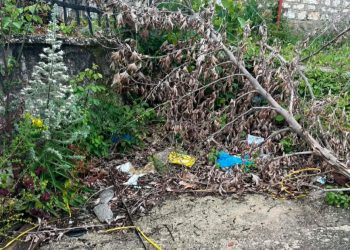 Χρυσομηλιά: Περιμένουν περισσότερα δρομολόγια λεωφορείου οι κάτοικοι – Παράπονα για χόρτα και σκουπίδια (ΦΩΤΟ)