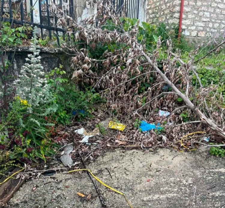 Χρυσομηλιά: Περιμένουν περισσότερα δρομολόγια λεωφορείου οι κάτοικοι – Παράπονα για χόρτα και σκουπίδια (ΦΩΤΟ)