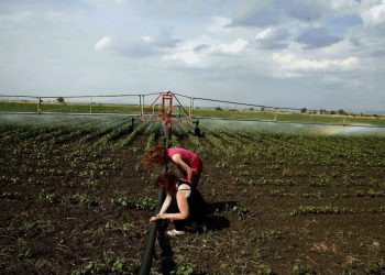 Ενιαία Αίτηση Ενίσχυσης 2025: Άνοιξε το σύστημα για διορθώσεις και υποβολή δικαιολογητικών