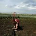 Ενιαία Αίτηση Ενίσχυσης 2025: Άνοιξε το σύστημα για διορθώσεις και υποβολή δικαιολογητικών