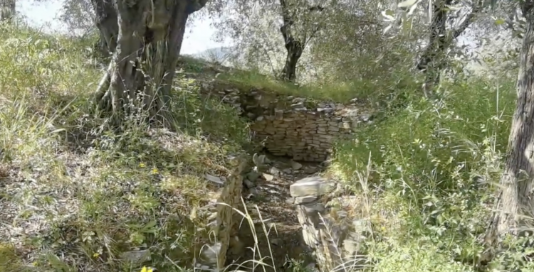 Οι μυκηναϊκοί θολωτοί τάφοι στη Γρίτσα Πτελεού – Η θλιβερή αποκάλυψη του σήμερα (ΒΙΝΤΕΟ)