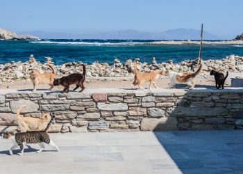 Με ποιο νησί ενθουσιάστηκε Βρετανός: «Περιηγήθηκα σε οκτώ ελληνικά νησιά και αυτό ήταν το καλύτερο»