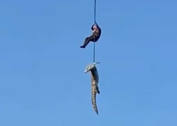 Ταυτοποιήθηκε ο επιχειρηματίας που βρέθηκε σε στομάχι κροκόδειλου που ανασύρθηκε με ελικόπτερο