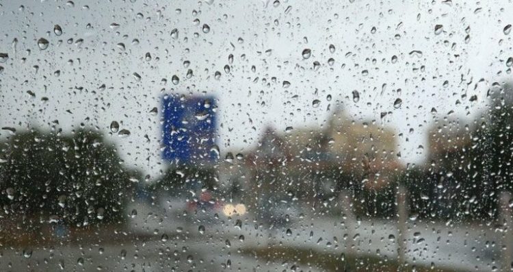 Τακούδης: Βροχερός ο υπόλοιπος Μάης και καλοκαίρι με ήπιους καύσωνες (video)