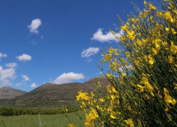 Τακούδης: Με αστάθειες, αλλά χωρίς λίβα ο υπόλοιπος Μάης – Θερμοκρασίες μέχρι 30 βαθμούς στη Θεσσαλία