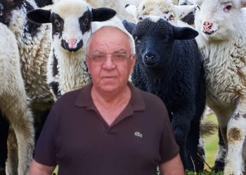 “Η ΣΤΑΝΗ”: 5 λόγοι για την άρση της απαγόρευσης βόσκησης αιγοπροβάτων – “Δεν υπάρχει κρούσμα ευλογιάς στο Ν. Τρικάλων”