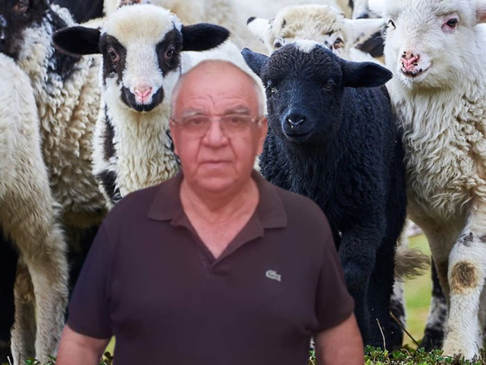 “Η ΣΤΑΝΗ”: 5 λόγοι για την άρση της απαγόρευσης βόσκησης αιγοπροβάτων – “Δεν υπάρχει κρούσμα ευλογιάς στο Ν. Τρικάλων”