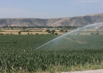 Τρίκαλα: «Έξυπνο» πότισμα με κάρτα για τους αγρότες – Το έργο που υπόσχεται εξοικονόμηση νερού και ενέργειας