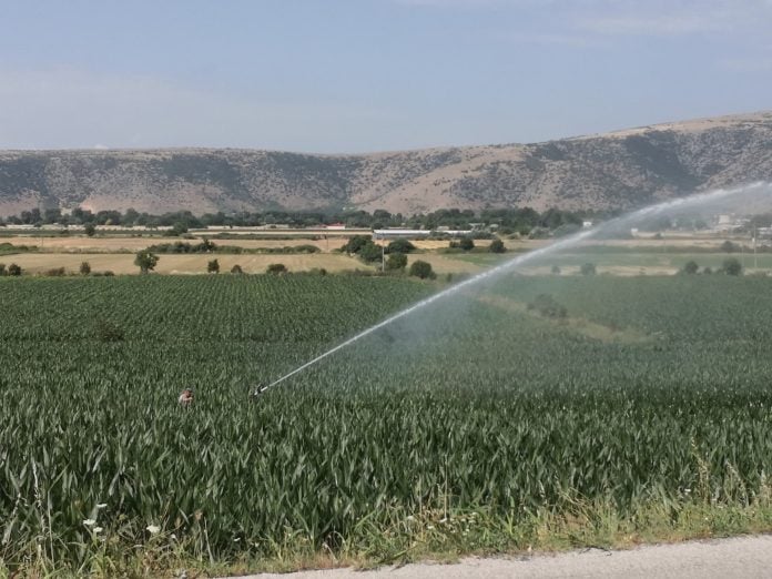 Τρίκαλα: «Έξυπνο» πότισμα με κάρτα για τους αγρότες – Το έργο που υπόσχεται εξοικονόμηση νερού και ενέργειας