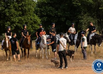Το Ασημένιο βραβείο κέρδισε το Κυνήγι Τρούφας με Άλογα στα Μετέωρα