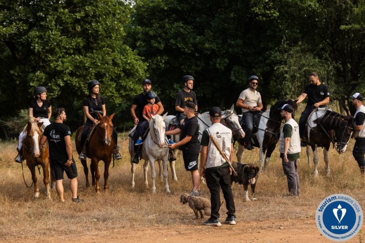 Το Ασημένιο βραβείο κέρδισε το Κυνήγι Τρούφας με Άλογα στα Μετέωρα