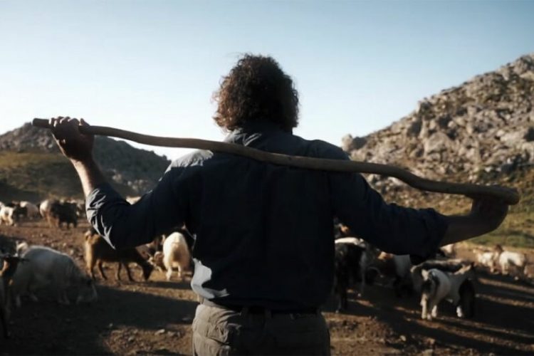 Άλλοι δύο βοσκοί με “βραχιολάκια” για παραβίαση των μέτρων κατά της ευλογιάς