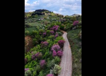 Αυτός είναι δρόμος της Καρδίτσας που μάγεψε όλο τον πλανήτη – Μοιάζει με πίνακα ζωγραφικής