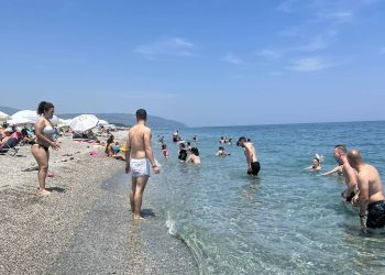 Δ. Βαφείδης καθηγητής Ιχθυολογίας Π.Θ.: Ασφαλείς οι θάλασσες στη Θεσσαλία, δεν υπάρχουν λαγοκέφαλοι (video)