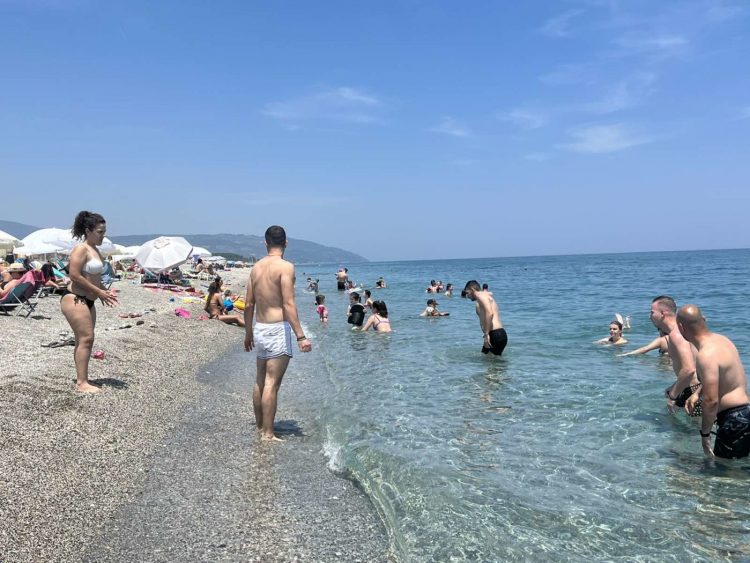 Δ. Βαφείδης καθηγητής Ιχθυολογίας Π.Θ.: Ασφαλείς οι θάλασσες στη Θεσσαλία, δεν υπάρχουν λαγοκέφαλοι (video)