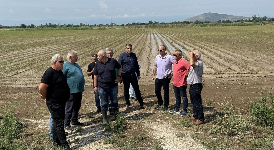 Xαλάζι: Καταστροφές σε 8.000 στρέμματα σε Ζάρκο και 1.500 στρέμματα στο Βλοχό (ΦΩΤΟ+video)