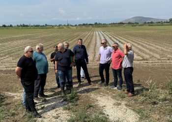 Xαλάζι: Καταστροφές σε 8.000 στρέμματα σε Ζάρκο και 1.500 στρέμματα στο Βλοχό (ΦΩΤΟ+video)
