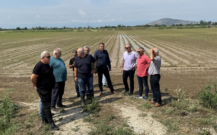 Xαλάζι: Καταστροφές σε 8.000 στρέμματα σε Ζάρκο και 1.500 στρέμματα στο Βλοχό (ΦΩΤΟ+video)