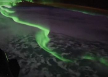 Το Νότιο Σέλας λάμπει κάτω από το διαστημικό σκάφος Dragon της SpaceX – Βίντεο