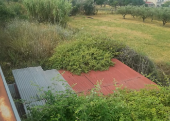Μυκηναϊκός θολωτός τάφος Καπακλί Βόλου: Από τον χρυσό θησαυρό, στην απόλυτη απαξίωση (VIDEO)
