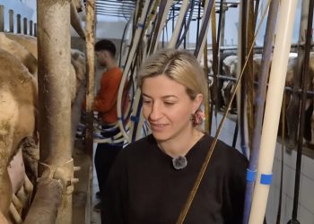 Το ζευγάρι σε χωριό της Θεσσαλίας που κρατά ζωντανή την ελληνική ύπαιθρο αφιερώνοντας τη ζωή του στα ζώα τους (βίντεο)
