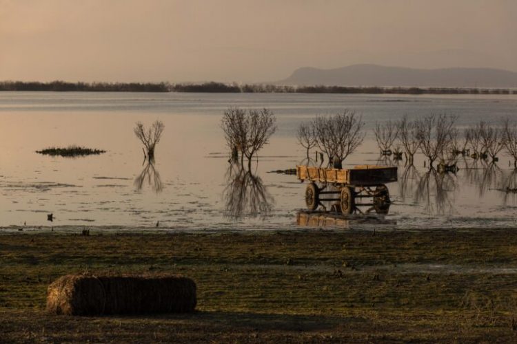 ΕΛΓΑ: Ενισχύσεις 35 εκατ. ευρώ στη Θεσσαλία για την αποκατάσταση ζημιών από τις πλημμύρες του 2023