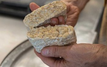 Τέμπε: Η ξεχασμένη τροφή – Τα οφέλη της ζυμωμένης σόγιας για οστά, έντερο και χοληστερόλη