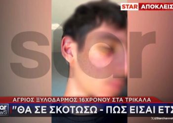 Άγριος ξυλοδαρμός 16χρονου από συνομήλικό του σε πανηγύρι στα Τρίκαλα – «Εγώ εσένα θα σε σκοτώσω»