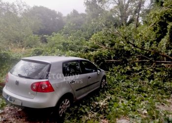 Καστράκι – Δέντρο έπεσε λόγω των ισχυρών ανέμων, γλίτωσε αυτοκίνητο (ΦΩΤΟ)