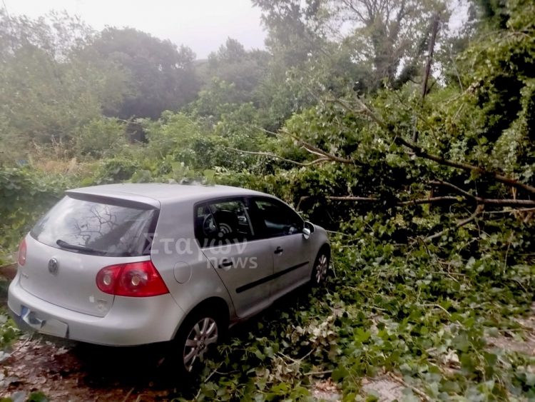 Καστράκι – Δέντρο έπεσε λόγω των ισχυρών ανέμων, γλίτωσε αυτοκίνητο (ΦΩΤΟ)
