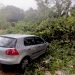 Καστράκι – Δέντρο έπεσε λόγω των ισχυρών ανέμων, γλίτωσε αυτοκίνητο (ΦΩΤΟ)