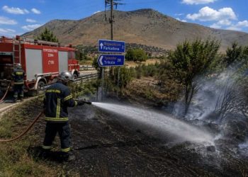 Άμεση επέμβαση της Πυροσβεστικής Οιχαλίας σε φωτιά στη Φαρκαδόνα – Έκκληση του Προέδρου (ΦΩΤΟ)