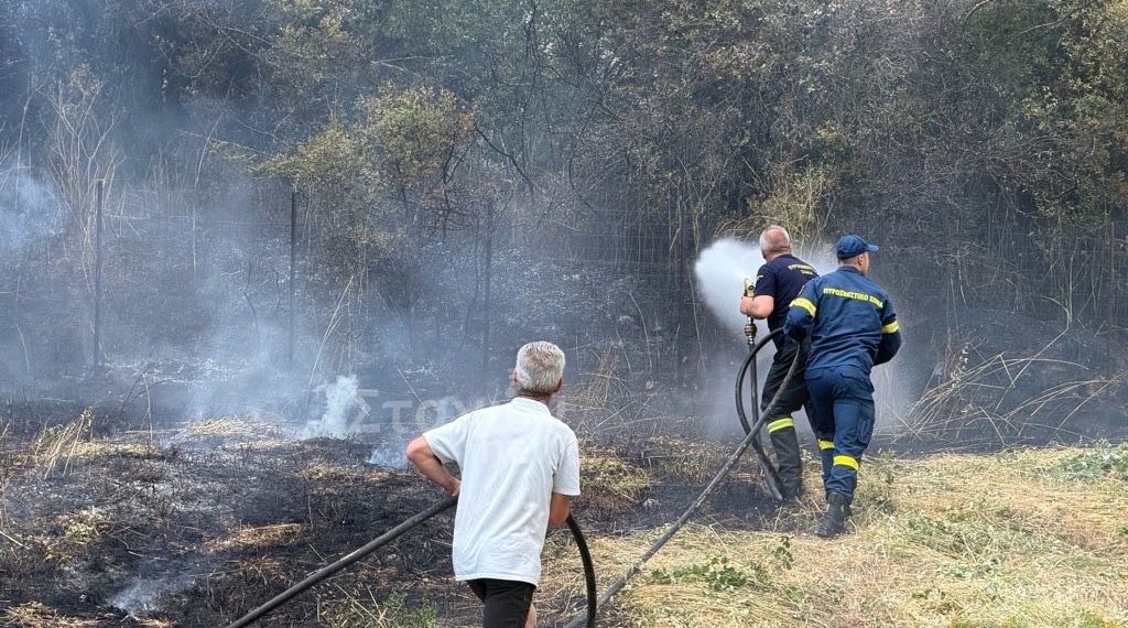 Κινητοποίηση της Πυροσβεστικής Υπηρεσίας Καλαμπάκας για φωτιά στο Καστράκι (ΦΩΤΟ – ΒΙΝΤΕΟ)