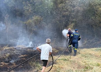 Κινητοποίηση της Πυροσβεστικής Υπηρεσίας Καλαμπάκας για φωτιά στο Καστράκι (ΦΩΤΟ – ΒΙΝΤΕΟ)