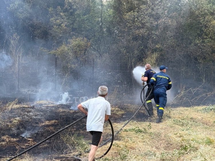 Κινητοποίηση της Πυροσβεστικής Υπηρεσίας Καλαμπάκας για φωτιά στο Καστράκι (ΦΩΤΟ – ΒΙΝΤΕΟ)